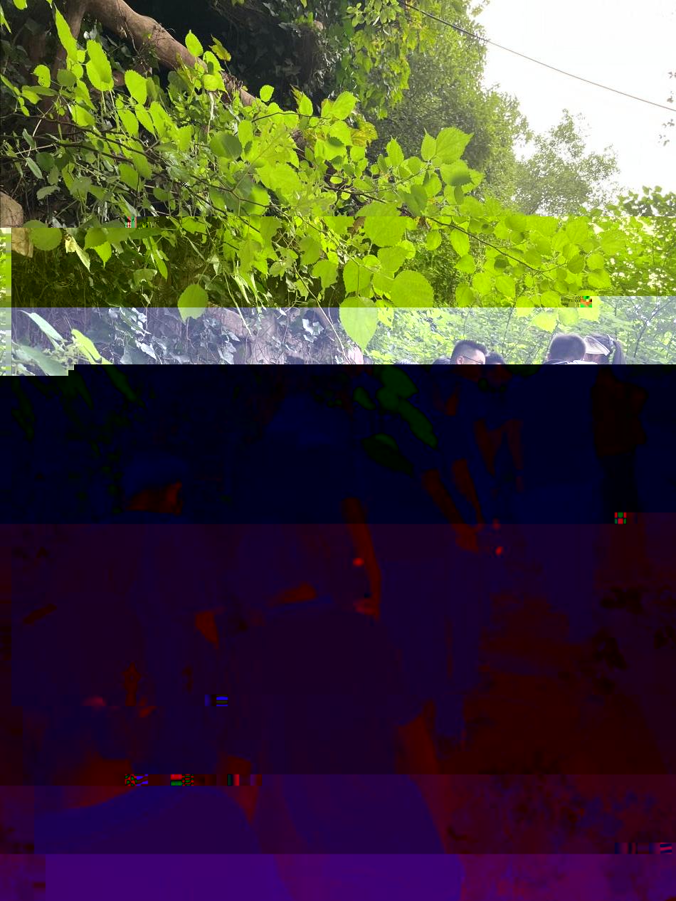 41A31